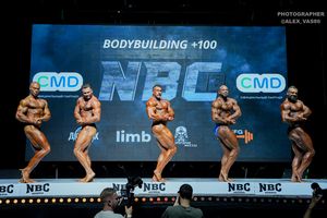 BODYBUILDING +100